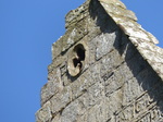 FZ003879 Crucis Abbey decoration.jpg